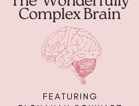 E19 The Wonderfully Complex Brain with Elchanan Schwarz
